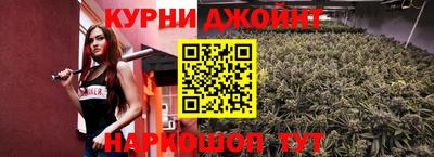 молекула духа Будённовск