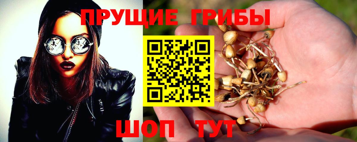 Галлюциногенные грибы Psilocybine cubensis  Вход с VPN  Нефтекумск 